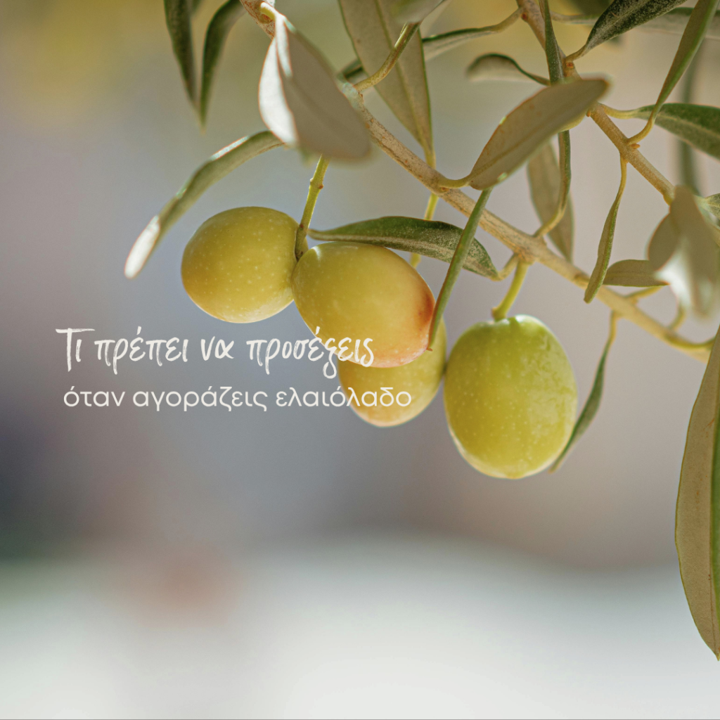 Τι να προσέξεις όταν αγοράζεις ελαιόλαδο