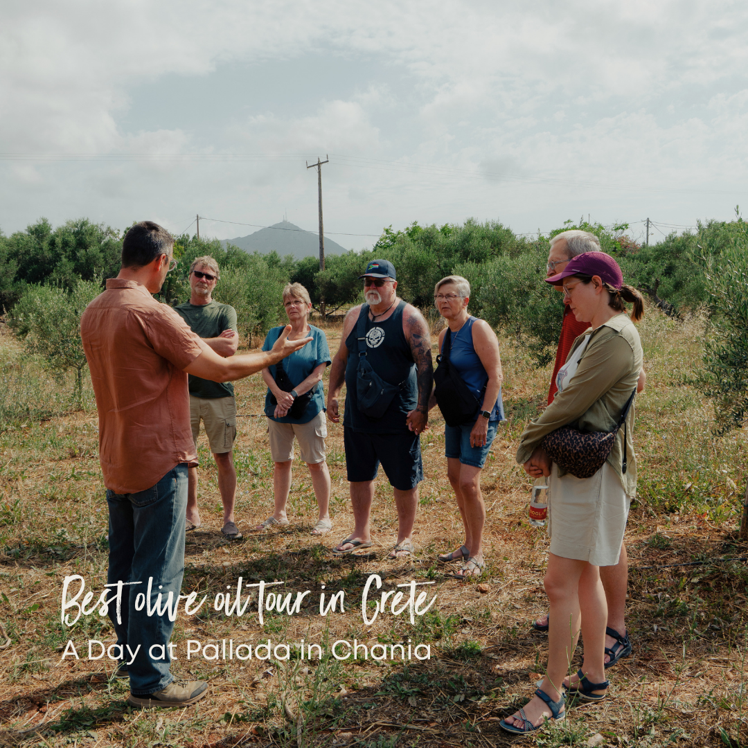 best olive oil tour Crete